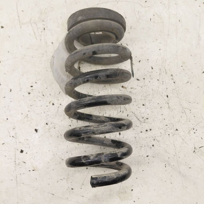 Coil Spring Rear Fits 15-24 Ford Edge