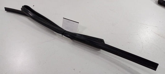 Cadillac SRX Door Glass Window Seal Rubber Right Passenger Rear Back 2011 2012