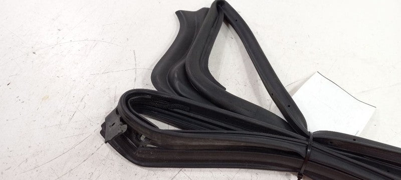 Infiniti Q50 On Door Seal Rubber Right Passenger Rear Back 2014 2015 2016