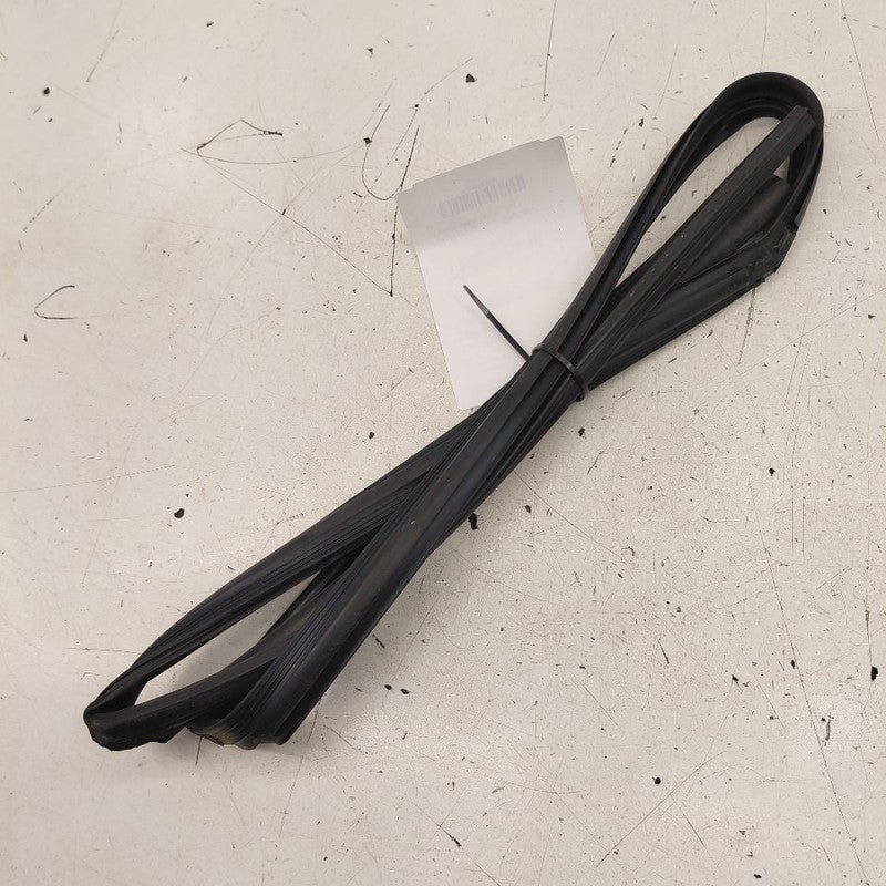 Hyundai Veloster Door Glass Window Seal Rubber Left Driver Front  2017