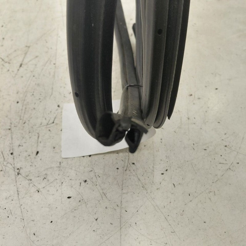 Nissan Murano On Body Door Jamb Seal Front Right Passenger  2020 2021 