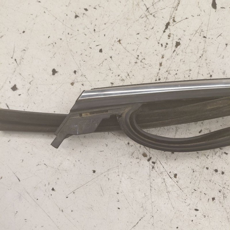 Ford Edge Door Glass Window Seal Rubber Right Passenger Rear Back 2018