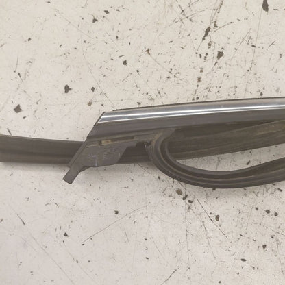 Ford Edge Door Glass Window Seal Rubber Right Passenger Rear Back 2018