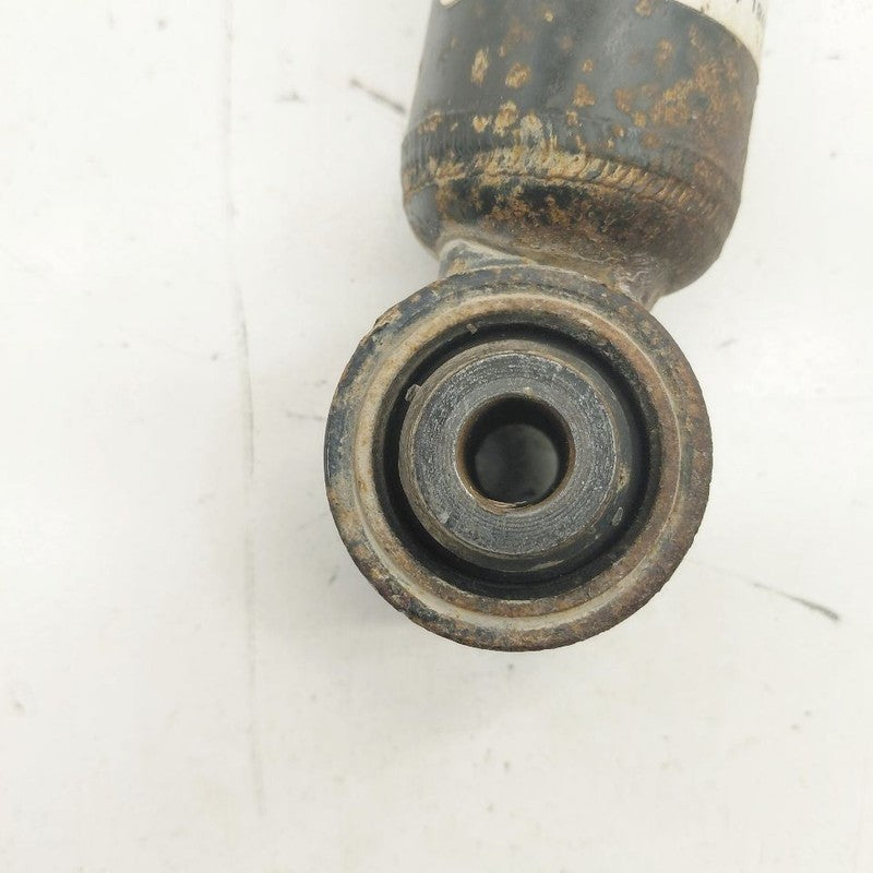 Chevy Volt Left Rear Shock Absorber  2019 2018 2017 2016 OEM
