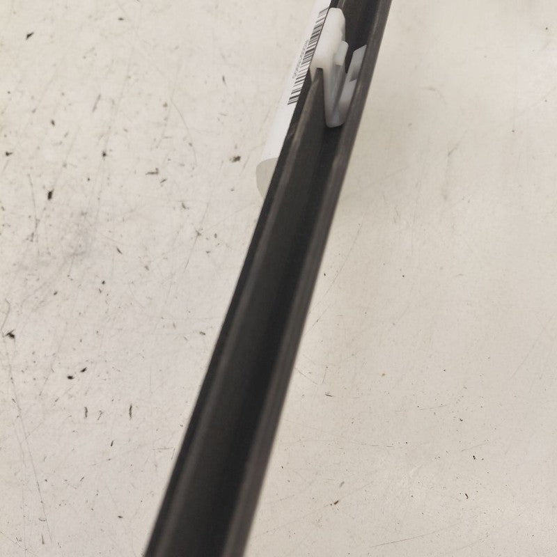 Hyundai Kona Door Glass Window Weather Strip Trim Front Left Driver  2