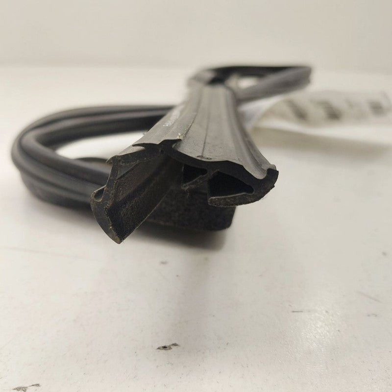 Ford Ecosport Door Glass Window Seal Rubber Right Passenger Front 2020
