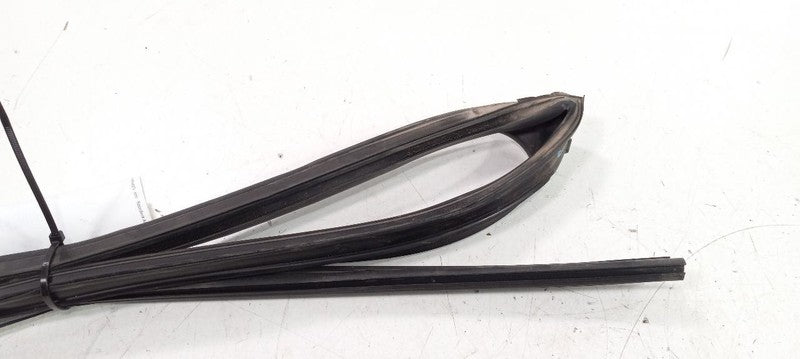 Toyota Camry Door Glass Window Seal Rubber Left Rear Back 2007 2008 2009