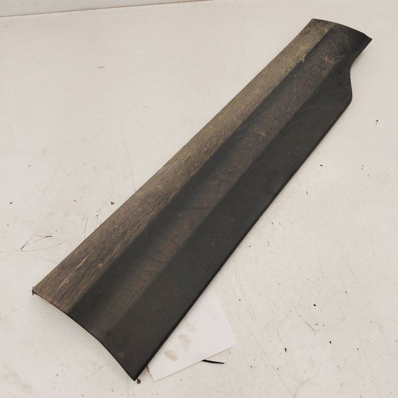 Chevy Trailblazer Door Molding Trim Strip Left Driver Front  2023 2022