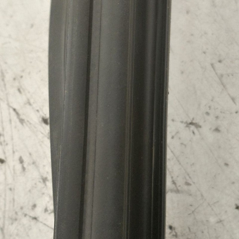 Hyundai Santa Fe Door Glass Window Seal Rubber Left Driver Rear Back  