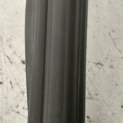 Hyundai Santa Fe Door Glass Window Seal Rubber Left Driver Rear Back  