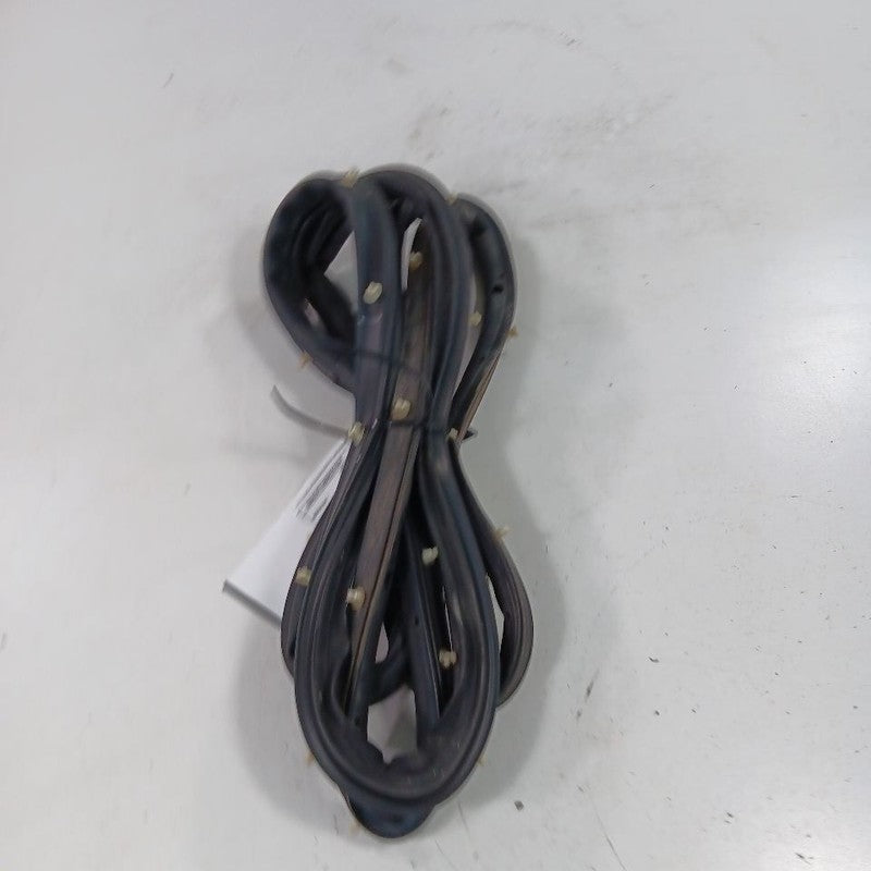 Ford Ecosport On Door Seal Rubber Right Passenger Front 2018 2019 2020