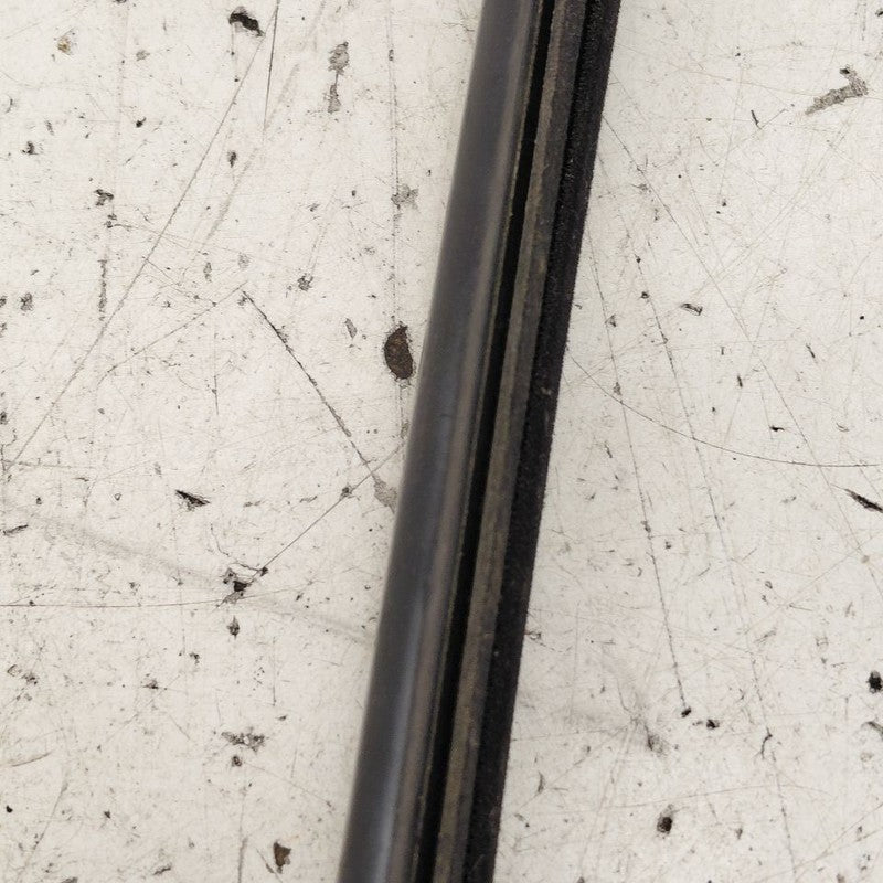 Nissan Versa Note Door Glass Window Weather Strip Trim Left Rear Back 