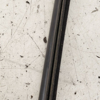 Nissan Versa Note Door Glass Window Weather Strip Trim Left Rear Back 