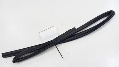 Hyundai Elantra Door Glass Window Seal Rubber Left Rear Back 2009 2010 2011 2012