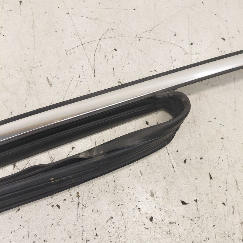 Cadillac CT6 Door Glass Window Seal Rubber Right Passenger Front  2018