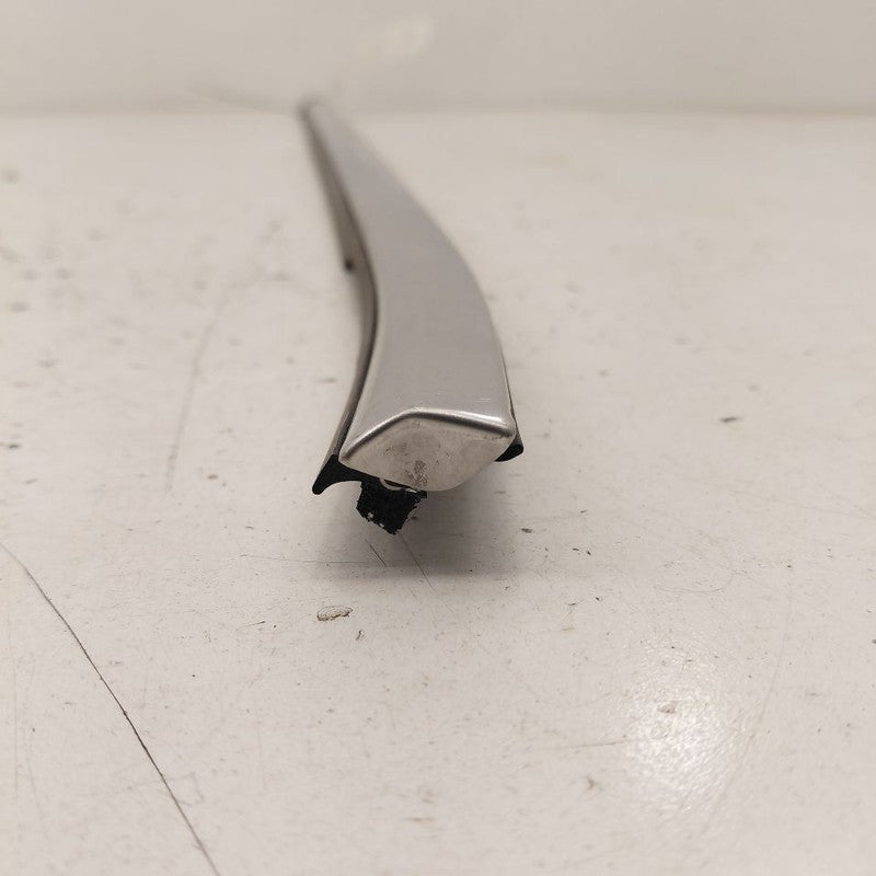 Chevy Equinox Door Glass Window Weather Strip Trim Front Left Driver  