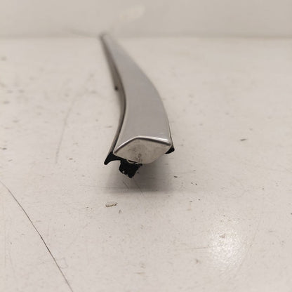 Chevy Equinox Door Glass Window Weather Strip Trim Front Left Driver  