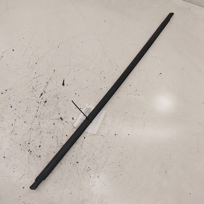 Volkswagen Golf Door Glass Window Weather Strip Trim Rear Right Passen
