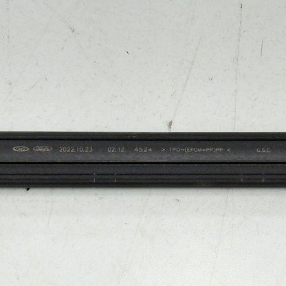 Hyundai Elantra Right Rear Weather Strip Interior  2024 2023 2022 2021