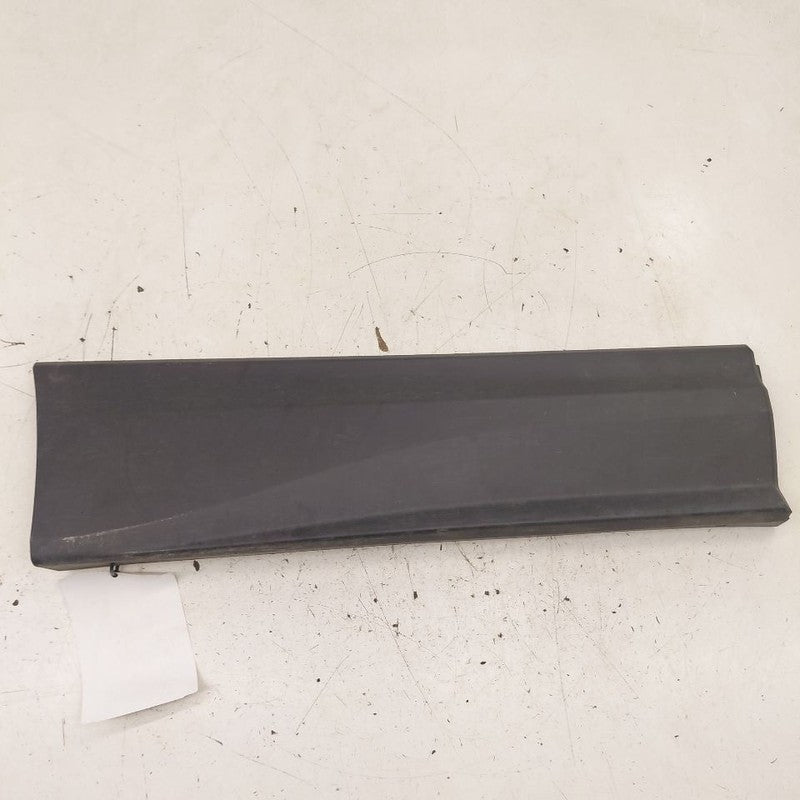 Chevy Equinox Door Molding Trim Strip Right Passenger Side Rear Back  