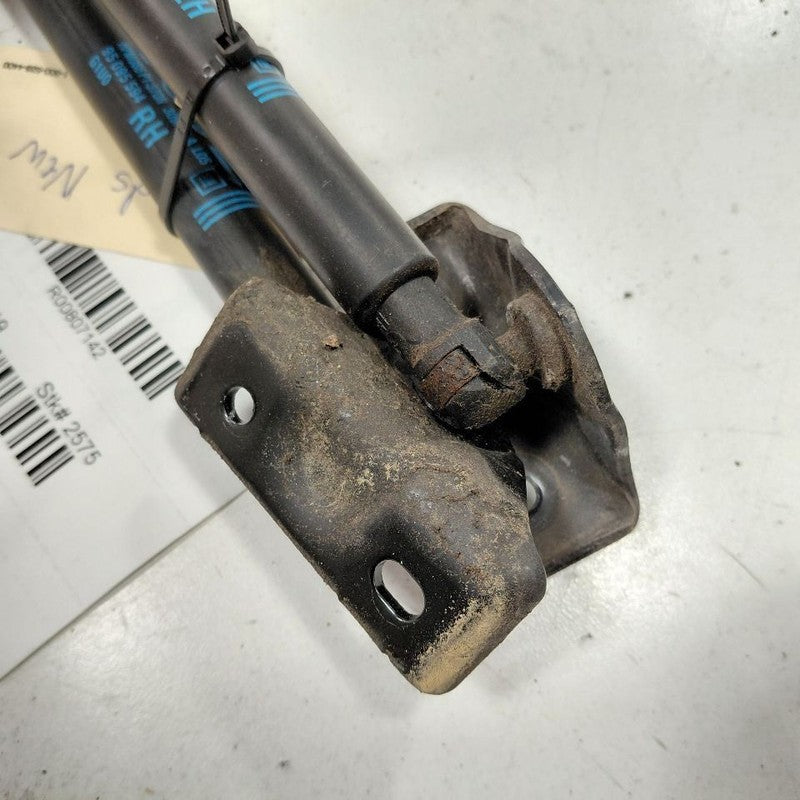 Buick Encore Hatchback Hatch Back Trunk Lid Shock Strut Support  2020 