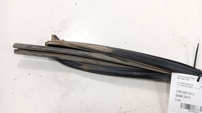 Mazda CX-9 Door Glass Window Seal Rubber Right Passenger Rear Back 201