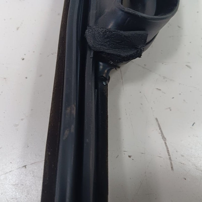 Ford Escape Door Glass Window Seal Rubber Right Passenger Front  2019 