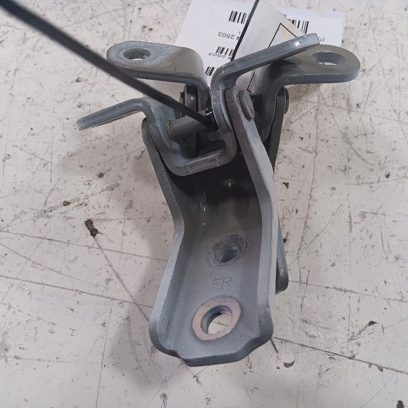 Hyundai Elantra Door Hinge Set Left Front Driver  2017 2018 2019 2020