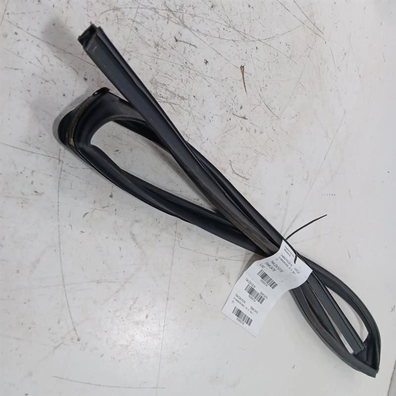 Nissan LEAF Door Glass Window Seal Rubber Left Driver Front  2013 2014