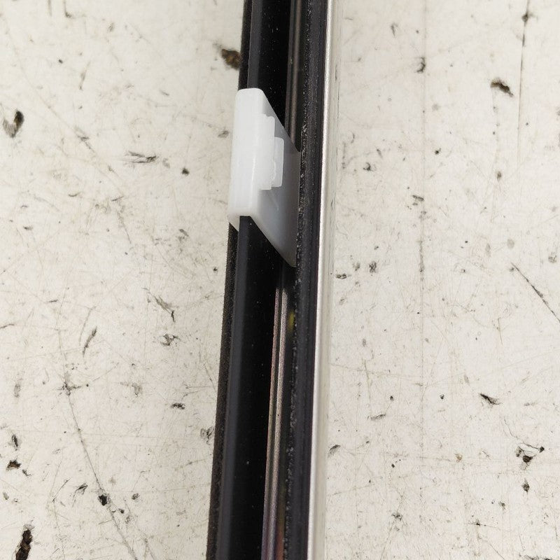 Kia Sportage Door Glass Window Weather Strip Trim Rear Right Passenger