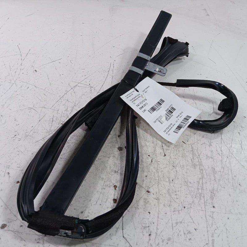 Ford Taurus Door Glass Window Seal Rubber Left Rear Back  2019 2018 20