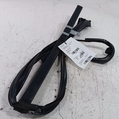Ford Taurus Door Glass Window Seal Rubber Left Rear Back  2019 2018 20