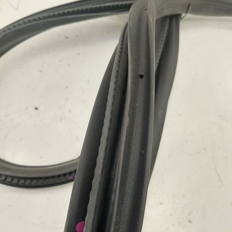 Ford Ecosport On Body Door Jamb Seal Rear Right Passenger Back  2020 2