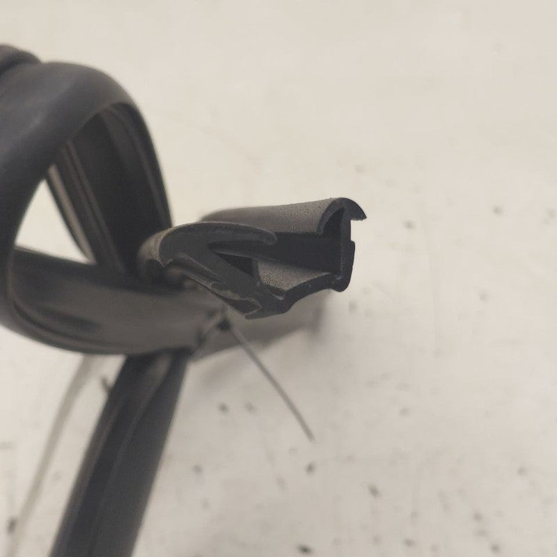 Kia Sportage Door Glass Window Seal Rubber Right Passenger Front  2020