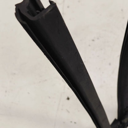 Ford Escape Door Glass Window Seal Rubber Left Driver Rear Back  2022 