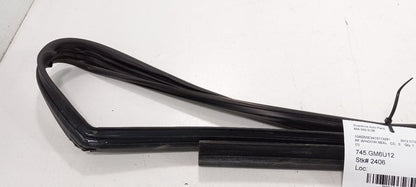 Cadillac CTS Door Glass Window Seal Rubber Right Front Passenger 2011 