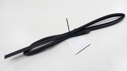 Hyundai Elantra Door Glass Window Seal Rubber Right Passenger Rear Back 2009 201