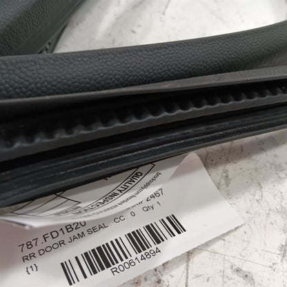 Ford Ecosport On Body Door Jamb Seal Rear Right Passenger Back  2018 2