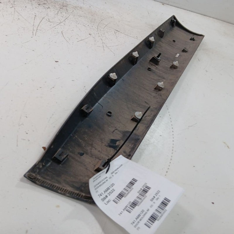 Jeep Renegade Door Molding Trim Strip Right Passenger Side Front  2021