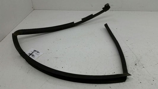 2003 Nissan Maxima Door Glass Window Seal Rubber Gasket Left Rear Back
