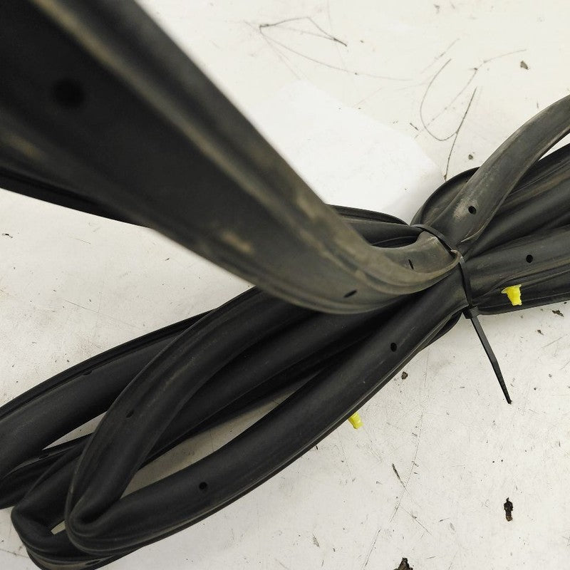 Ford Escape On Door Seal Rubber Right Passenger Rear Back  2022 2023 2