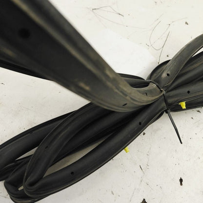 Ford Escape On Door Seal Rubber Right Passenger Rear Back  2022 2023 2
