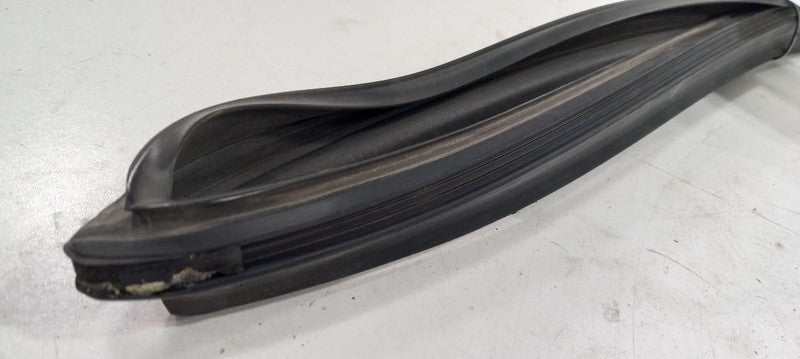 Hyundai Santa Fe Door Glass Window Seal Rubber Left Driver Front 2017 2018 2019