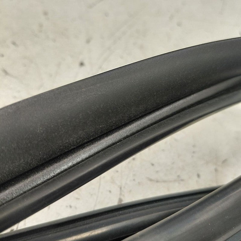 Hyundai Veloster Door Glass Window Seal Rubber Left Driver Front  2017