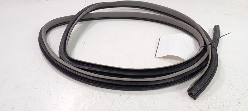 Toyota Camry On Body Door Jamb Seal Rear Left Back 2007 2008 2009 OEM