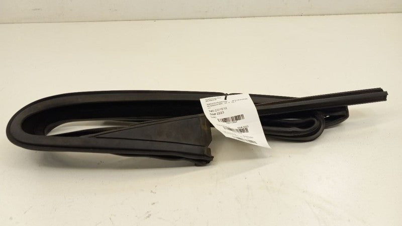 Mini Cooper Countryman Door Glass Window Seal Rubber Right Passenger R