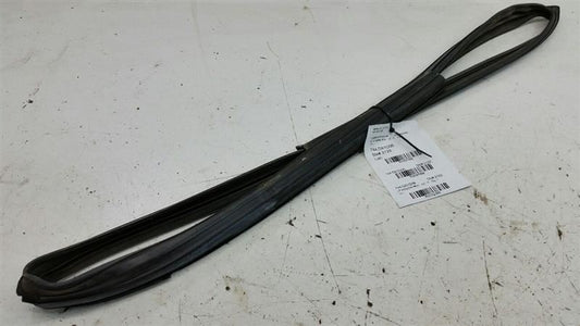2006 Nissan Maxima Door Glass Window Seal Rubber Gasket Left Driver Front 2007