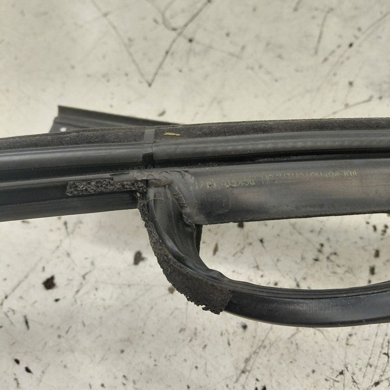 Volvo S60 Door Glass Window Seal Rubber Left Driver Rear Back  2013 20