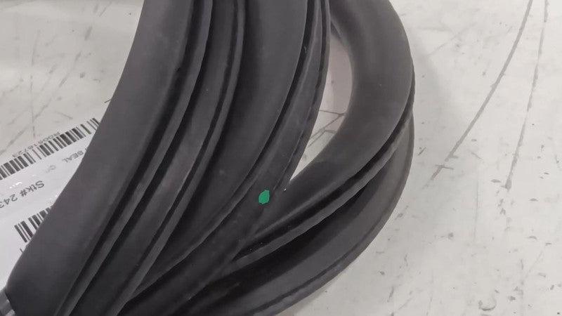 Dodge Dart On Body Door Jamb Seal Rear Left Back  2013 2014 2015 2016 