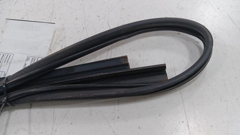 Hyundai Elantra Door Glass Window Seal Rubber Right Passenger Front  2